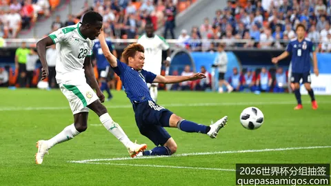 2026深度解析：法国足球选帅秘诀大